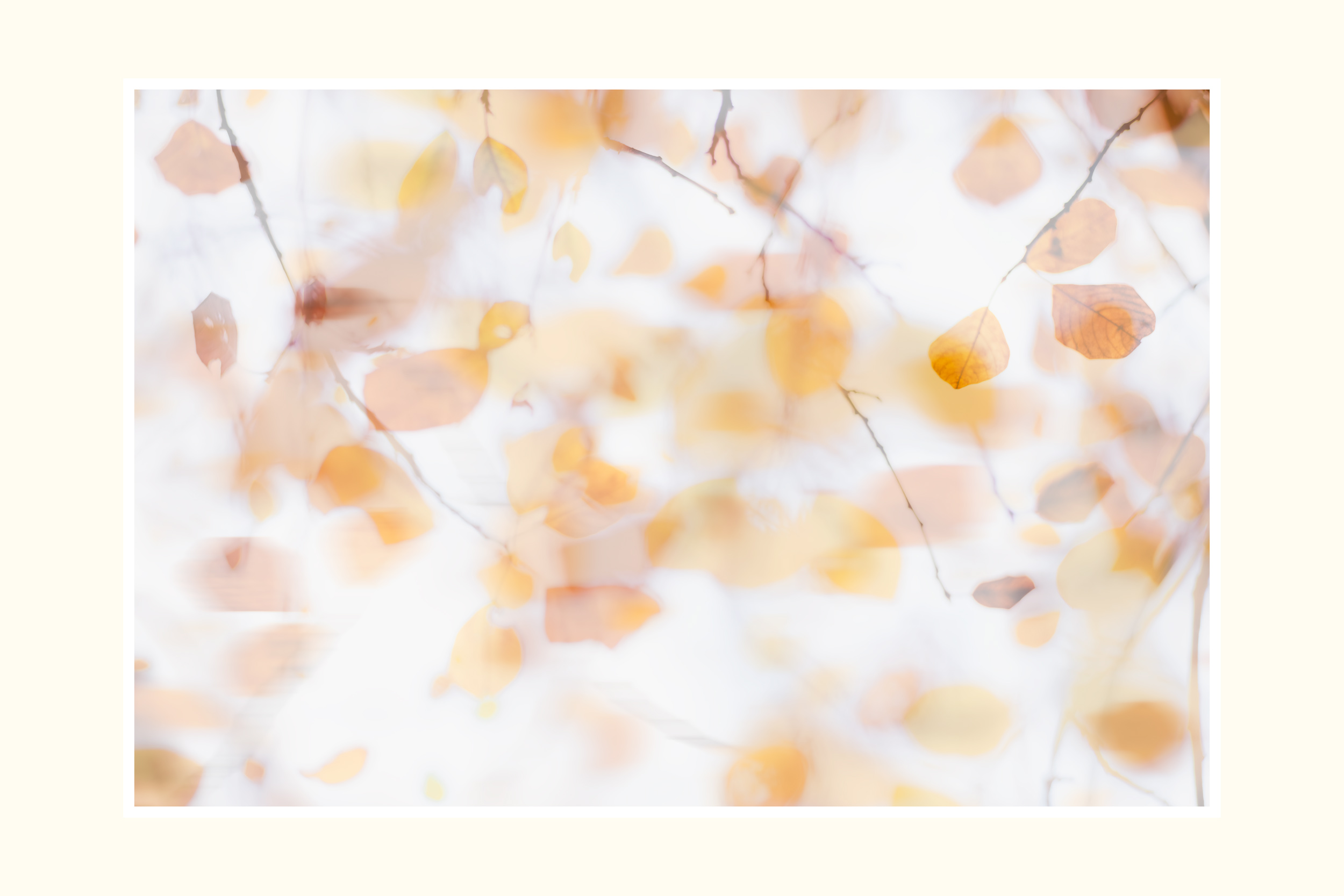 Autumn Leaves – Atelier Edition
