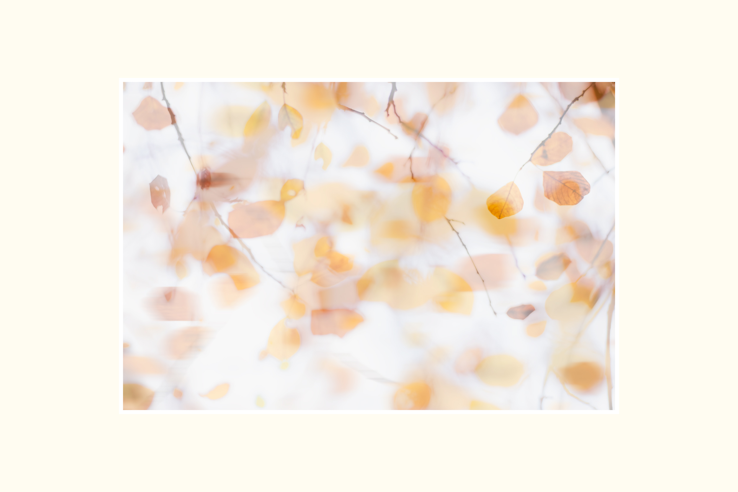 Autumn Leaves – grote editie op 90 × 60 cm passe-partout