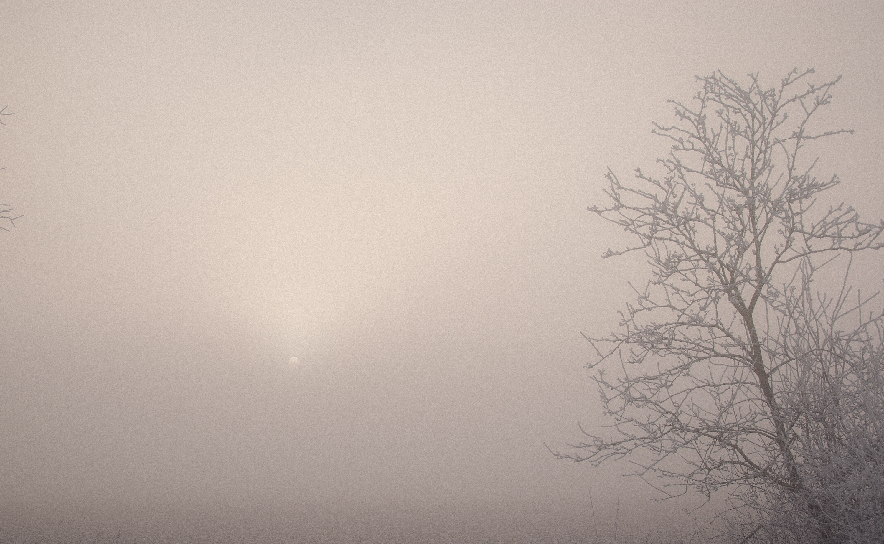 Mist met bleke zon