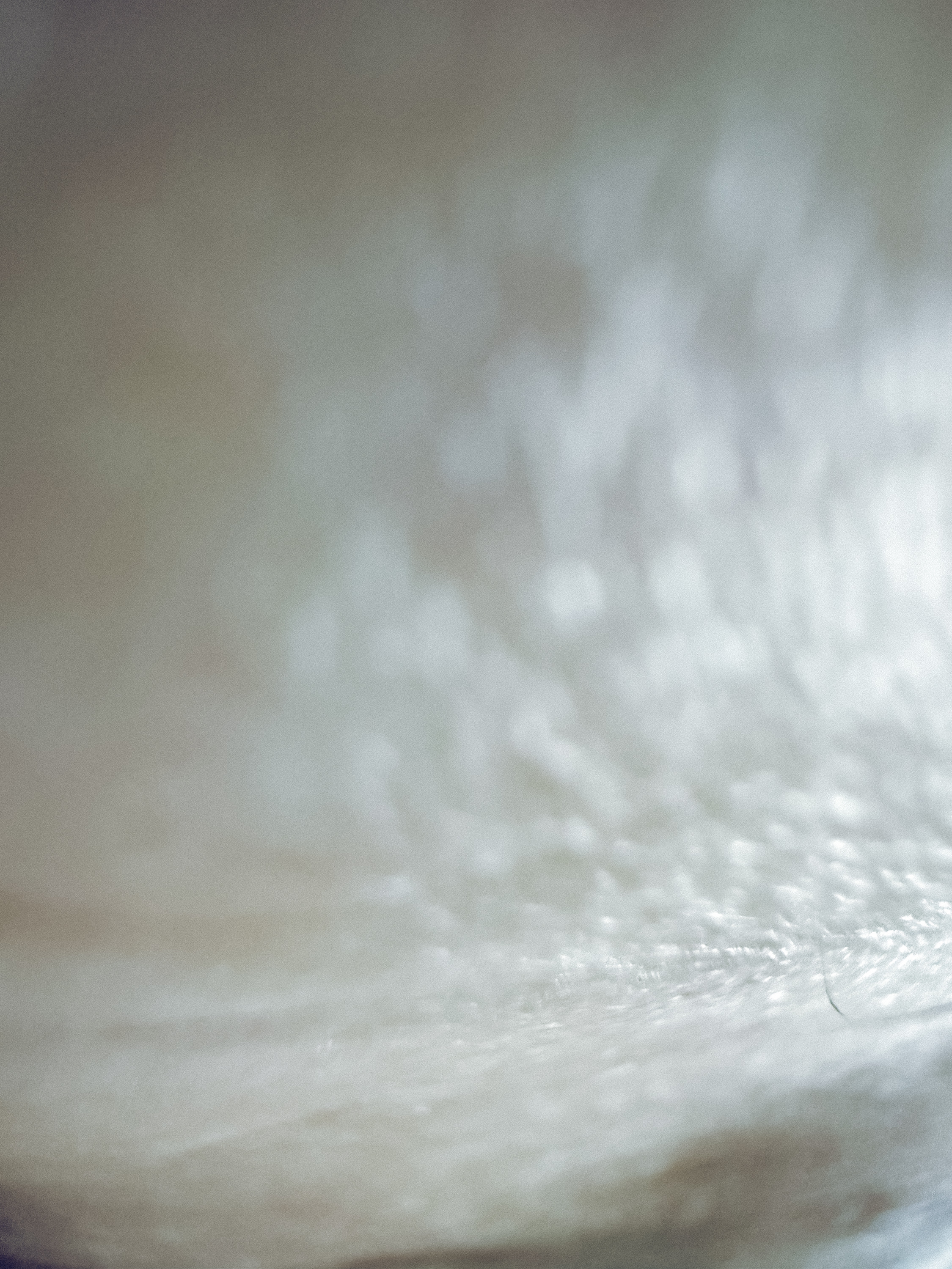 Macro van huidstructuur